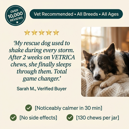 SteadyHeart Calming Support Chews for Dogs