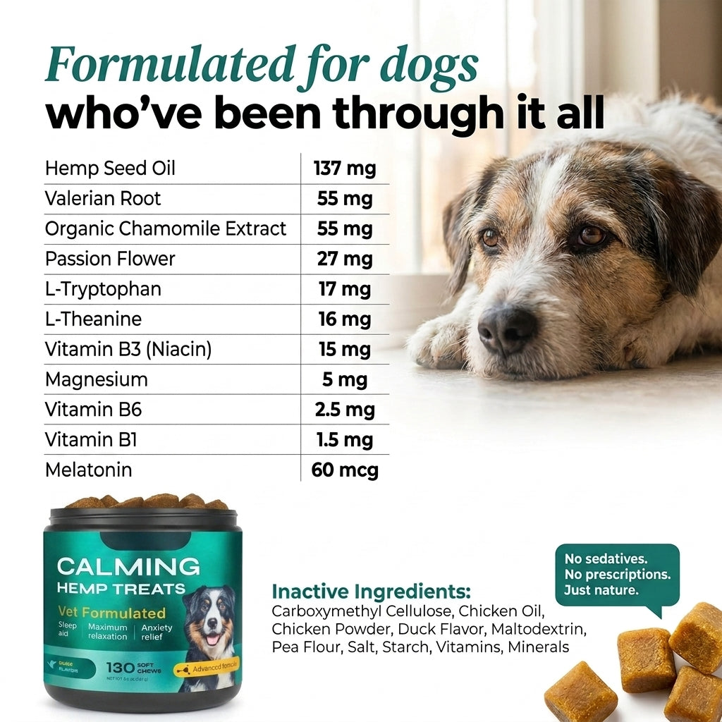 SteadyHeart Calming Support Chews for Dogs